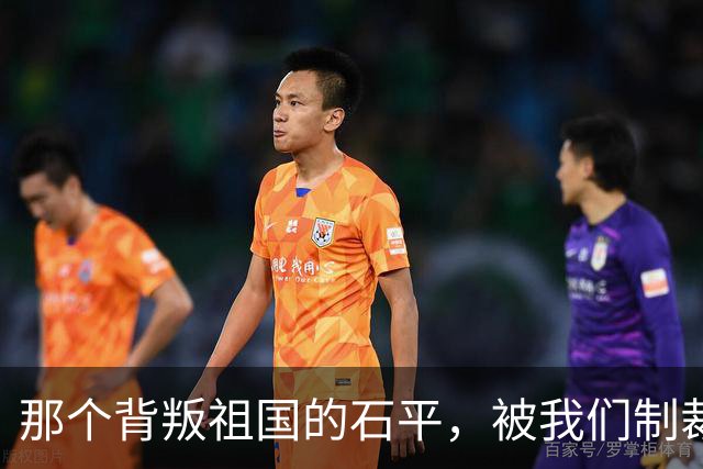 那个背叛祖国的石平，被我们制裁后，受到了什么损失吗？